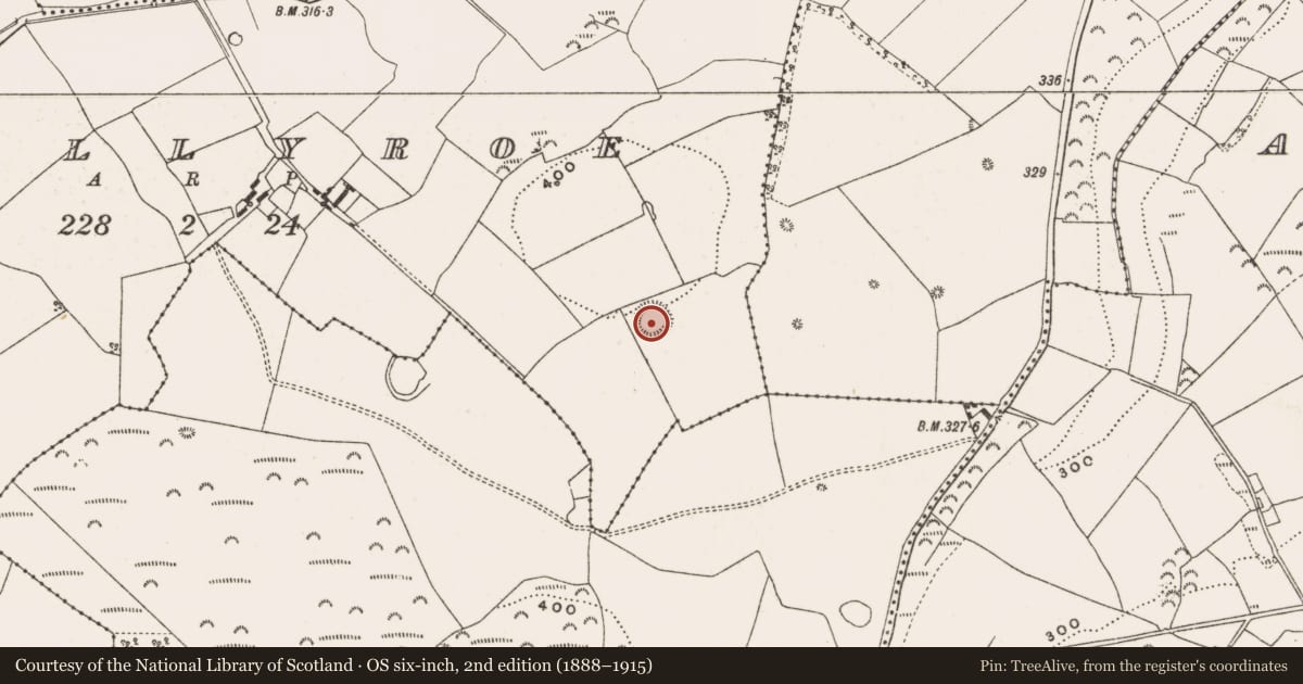 Ordnance Survey six-inch map, 2nd edition (1888–1915) covering the location of Ringfort - rath, Ballyroe, County Offaly, with a pin at the register's coordinates