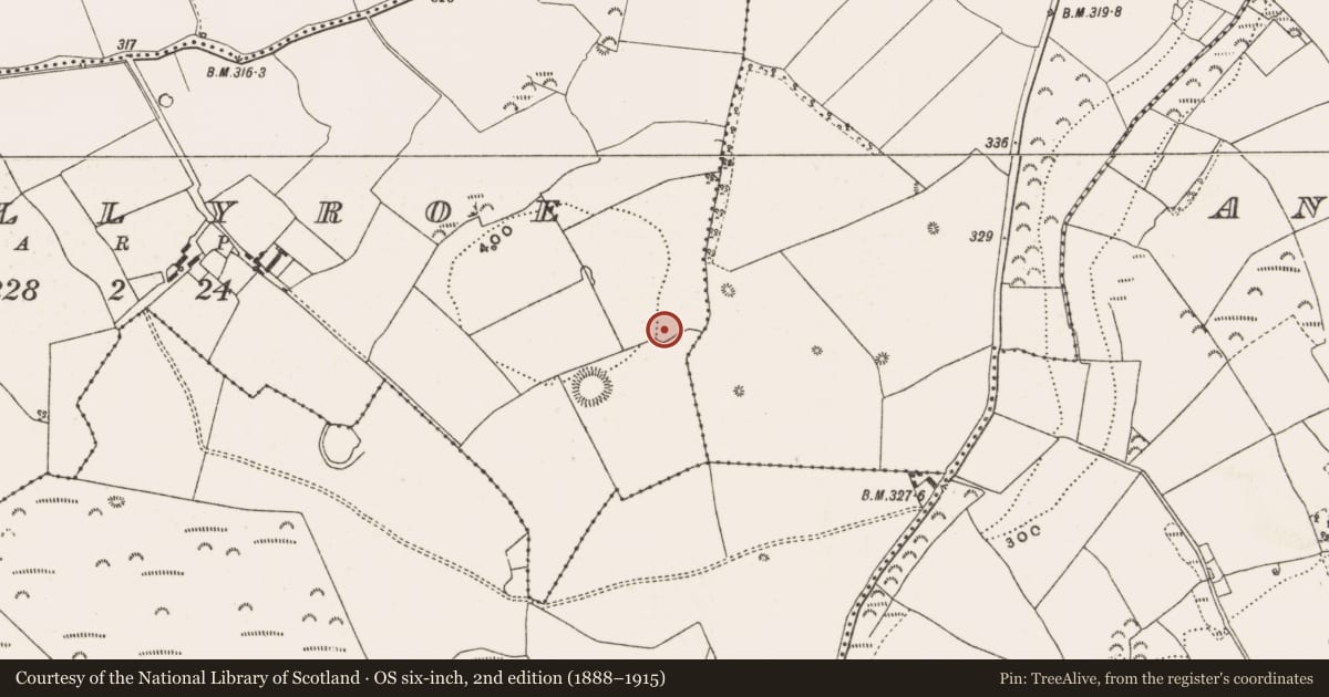 Ordnance Survey six-inch map, 2nd edition (1888–1915) covering the location of Enclosure, Ballyroe, County Offaly, with a pin at the register's coordinates