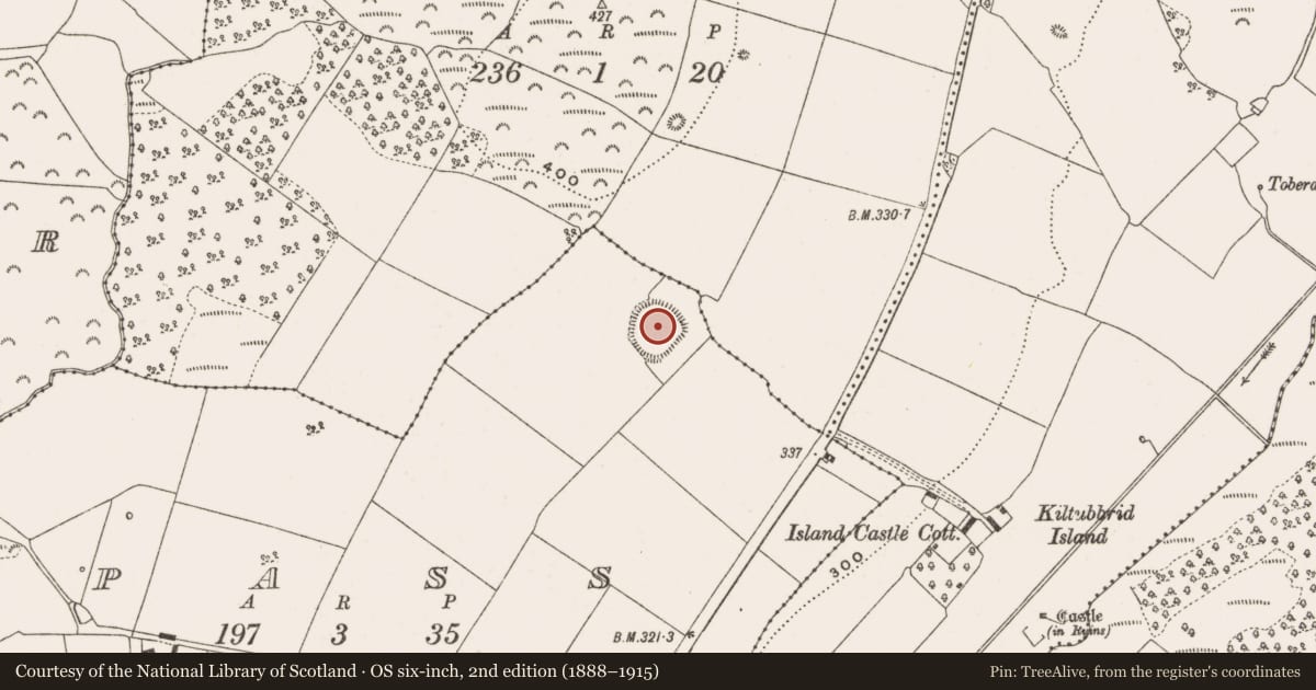 Ordnance Survey six-inch map, 2nd edition (1888–1915) covering the location of Enclosure, Pass, County Offaly, with a pin at the register's coordinates