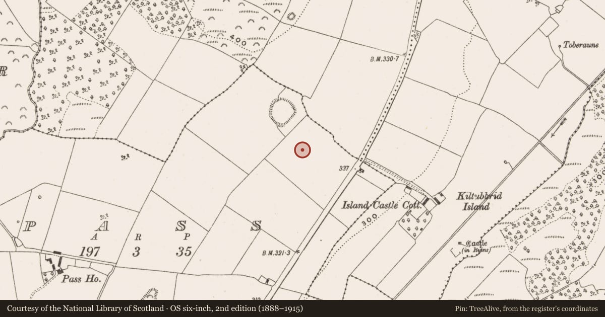 Ordnance Survey six-inch map, 2nd edition (1888–1915) covering the location of Enclosure, Pass, County Offaly, with a pin at the register's coordinates