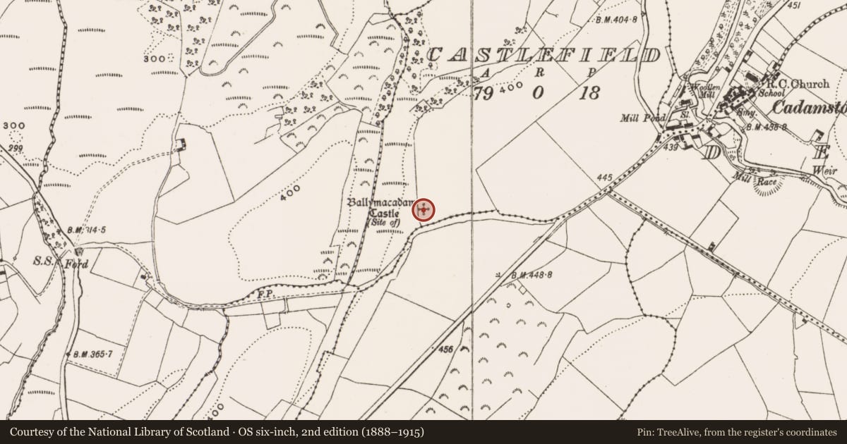 Ordnance Survey six-inch map, 2nd edition (1888–1915) covering the location of Castle - unclassified, Castlefield, County Offaly, with a pin at the register's coordinates