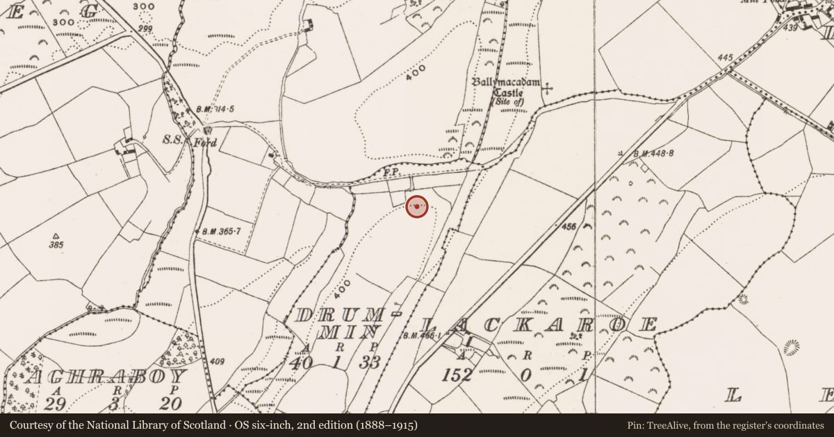 Ordnance Survey six-inch map, 2nd edition (1888–1915) covering the location of Enclosure, Drummin, County Offaly, with a pin at the register's coordinates