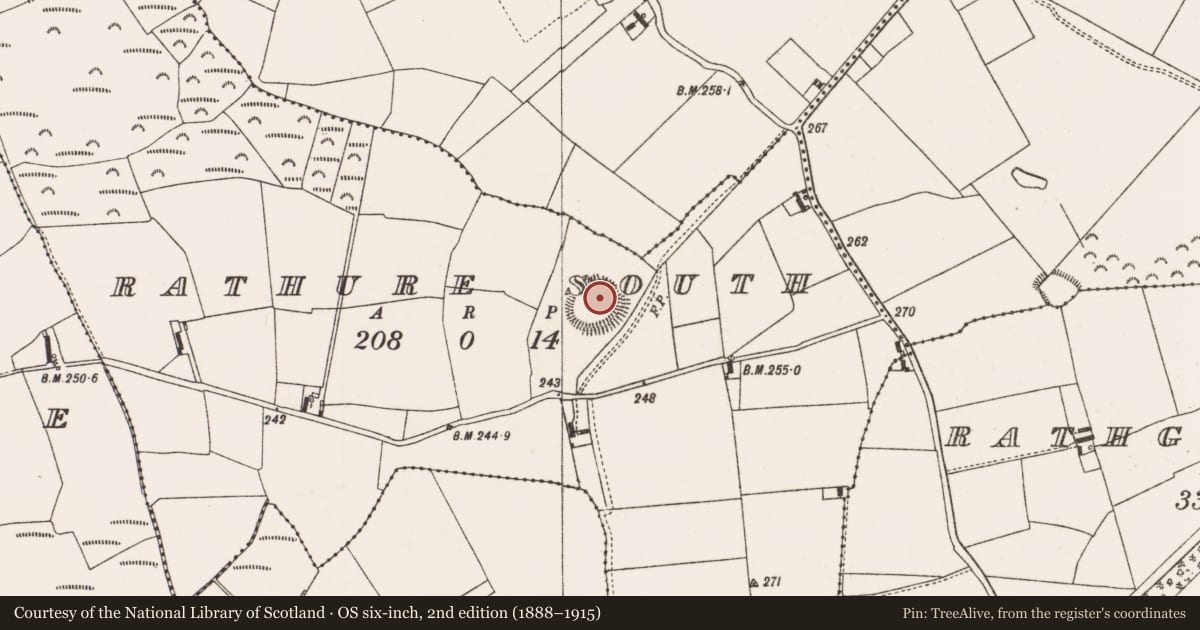 Ordnance Survey six-inch map, 2nd edition (1888–1915) covering the location of Ringfort - rath, Rathure South, County Offaly, with a pin at the register's coordinates