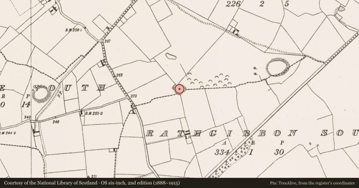 Ordnance Survey six-inch map, 2nd edition (1888–1915) covering the location of Moated site, Rathgibbon North, County Offaly, with a pin at the register's coordinates