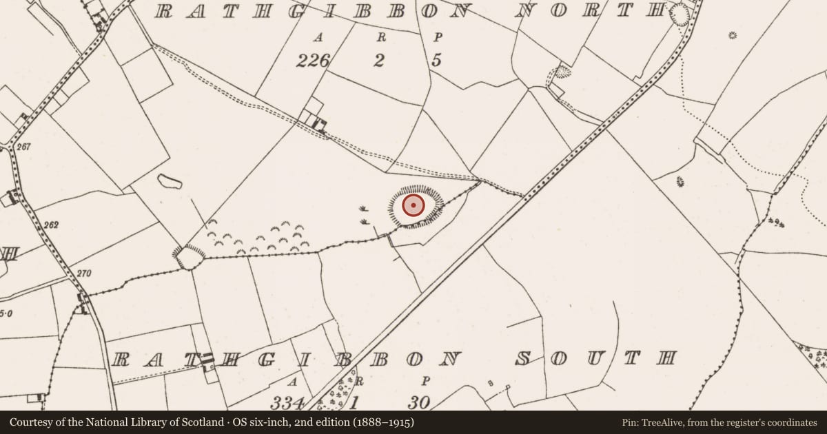 Ordnance Survey six-inch map, 2nd edition (1888–1915) covering the location of Ringfort - rath, Rathgibbon North, County Offaly, with a pin at the register's coordinates
