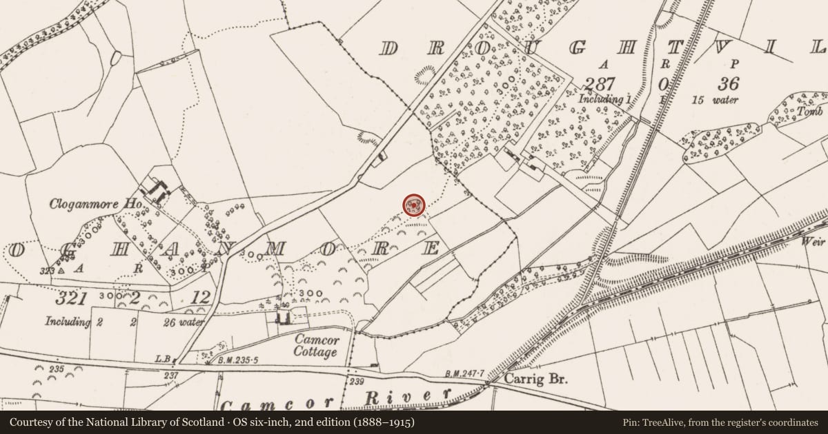 Ordnance Survey six-inch map, 2nd edition (1888–1915) covering the location of Ringfort - rath, Cloghanmore, County Offaly, with a pin at the register's coordinates