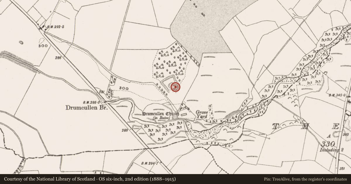 Ordnance Survey six-inch map, 2nd edition (1888–1915) covering the location of Castle - motte and bailey, Knockbarron, County Offaly, with a pin at the register's coordinates