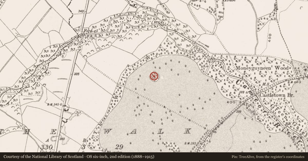 Ordnance Survey six-inch map, 2nd edition (1888–1915) covering the location of Designed landscape - tree-ring, The Walk, County Offaly, with a pin at the register's coordinates