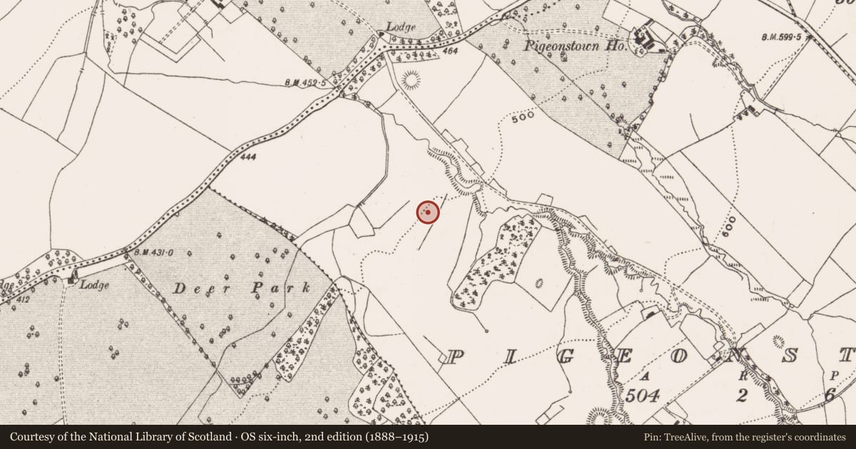 Ordnance Survey six-inch map, 2nd edition (1888–1915) covering the location of Deer park, Pigeonstown, County Offaly, with a pin at the register's coordinates