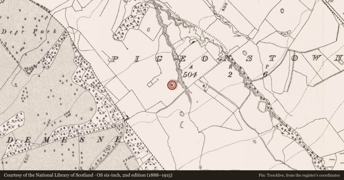Ordnance Survey six-inch map, 2nd edition (1888–1915) covering the location of Ringfort - rath, Pigeonstown, County Offaly, with a pin at the register's coordinates