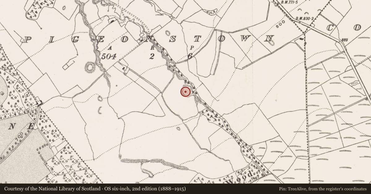Ordnance Survey six-inch map, 2nd edition (1888–1915) covering the location of Enclosure, Pigeonstown, County Offaly, with a pin at the register's coordinates