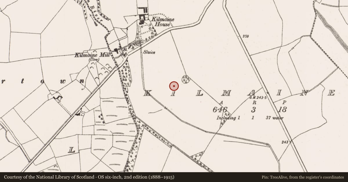 Ordnance Survey six-inch map, 2nd edition (1888–1915) covering the location of Enclosure, Kilmaine, County Offaly, with a pin at the register's coordinates