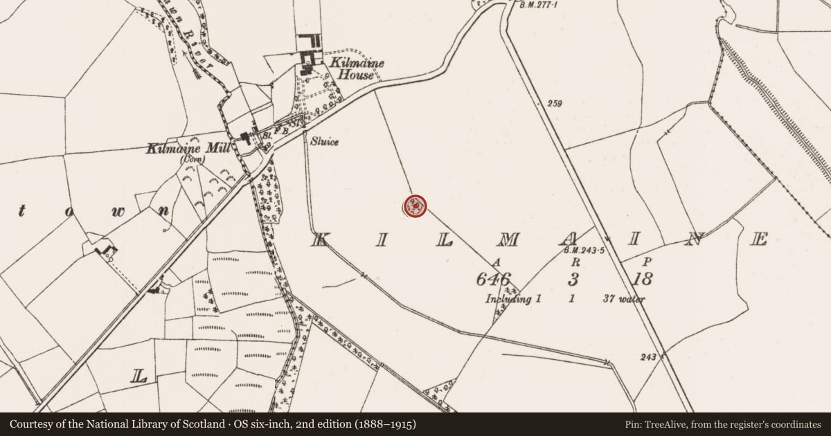 Ordnance Survey six-inch map, 2nd edition (1888–1915) covering the location of Designed landscape - tree-ring, Kilmaine, County Offaly, with a pin at the register's coordinates