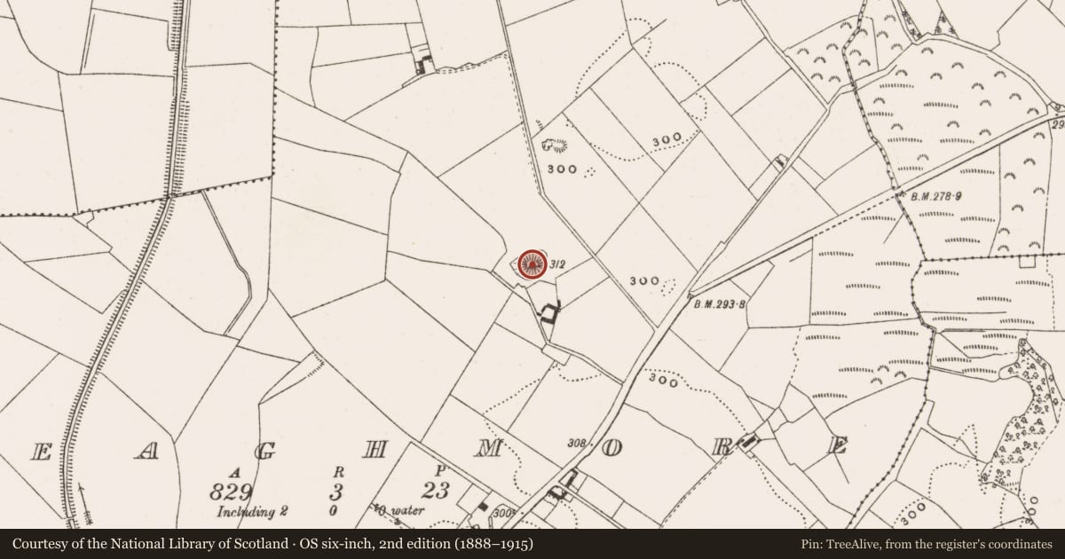 Ordnance Survey six-inch map, 2nd edition (1888–1915) covering the location of Enclosure, Breaghmore, County Offaly, with a pin at the register's coordinates