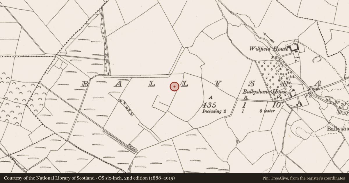 Ordnance Survey six-inch map, 2nd edition (1888–1915) covering the location of Enclosure, Ballyshane, County Offaly, with a pin at the register's coordinates