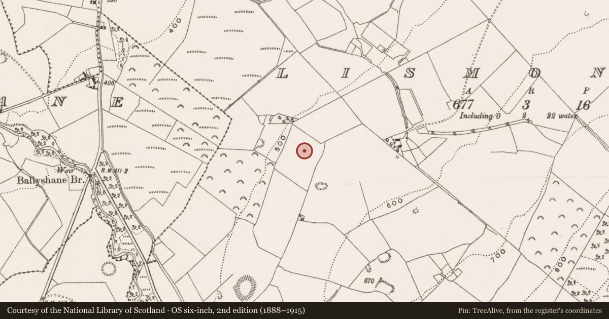 Ordnance Survey six-inch map, 2nd edition (1888–1915) covering the location of Enclosure, Lismoney, County Offaly, with a pin at the register's coordinates