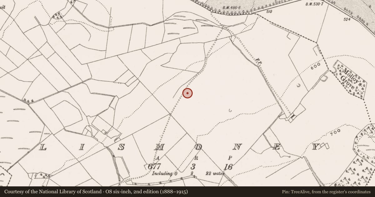 Ordnance Survey six-inch map, 2nd edition (1888–1915) covering the location of Burial mound, Lismoney, County Offaly, with a pin at the register's coordinates