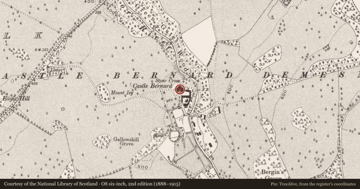 Ordnance Survey six-inch map, 2nd edition (1888–1915) covering the location of Castle - unclassified, Castletown And Glinsk, County Offaly, with a pin at the register's coordinates