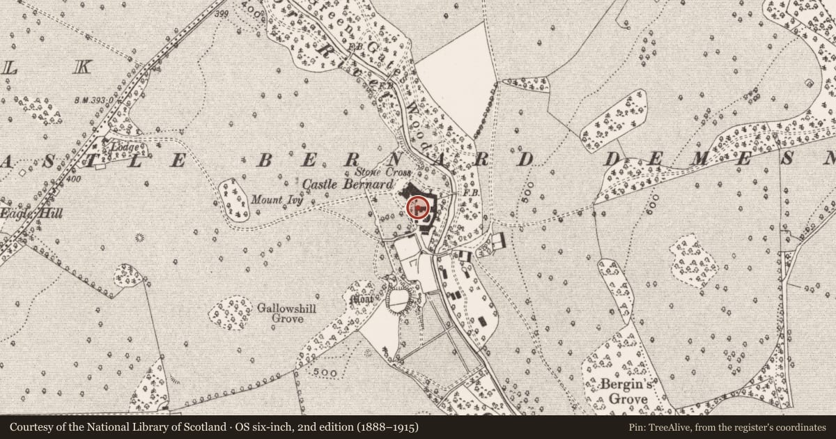 Ordnance Survey six-inch map, 2nd edition (1888–1915) covering the location of Church, Castletown And Glinsk, County Offaly, with a pin at the register's coordinates