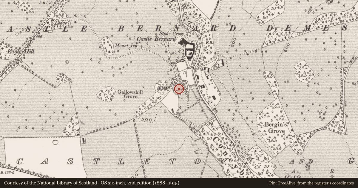 Ordnance Survey six-inch map, 2nd edition (1888–1915) covering the location of Castle - motte, Castletown And Glinsk, County Offaly, with a pin at the register's coordinates