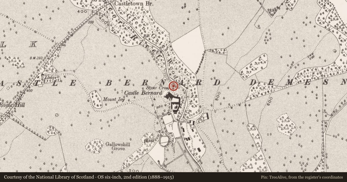 Ordnance Survey six-inch map, 2nd edition (1888–1915) covering the location of Cross - High cross (present location), Castletown And Glinsk, County Offaly, with a pin at the register's coordinates