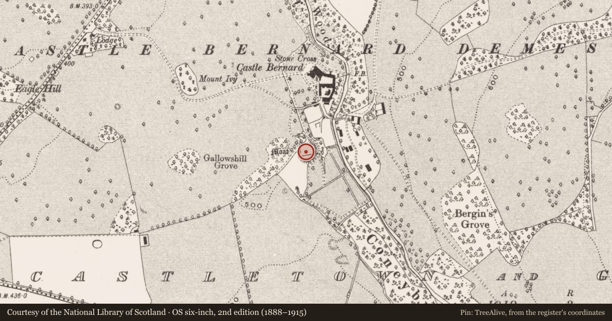 Ordnance Survey six-inch map, 2nd edition (1888–1915) covering the location of Graveslab, Castletown And Glinsk, County Offaly, with a pin at the register's coordinates