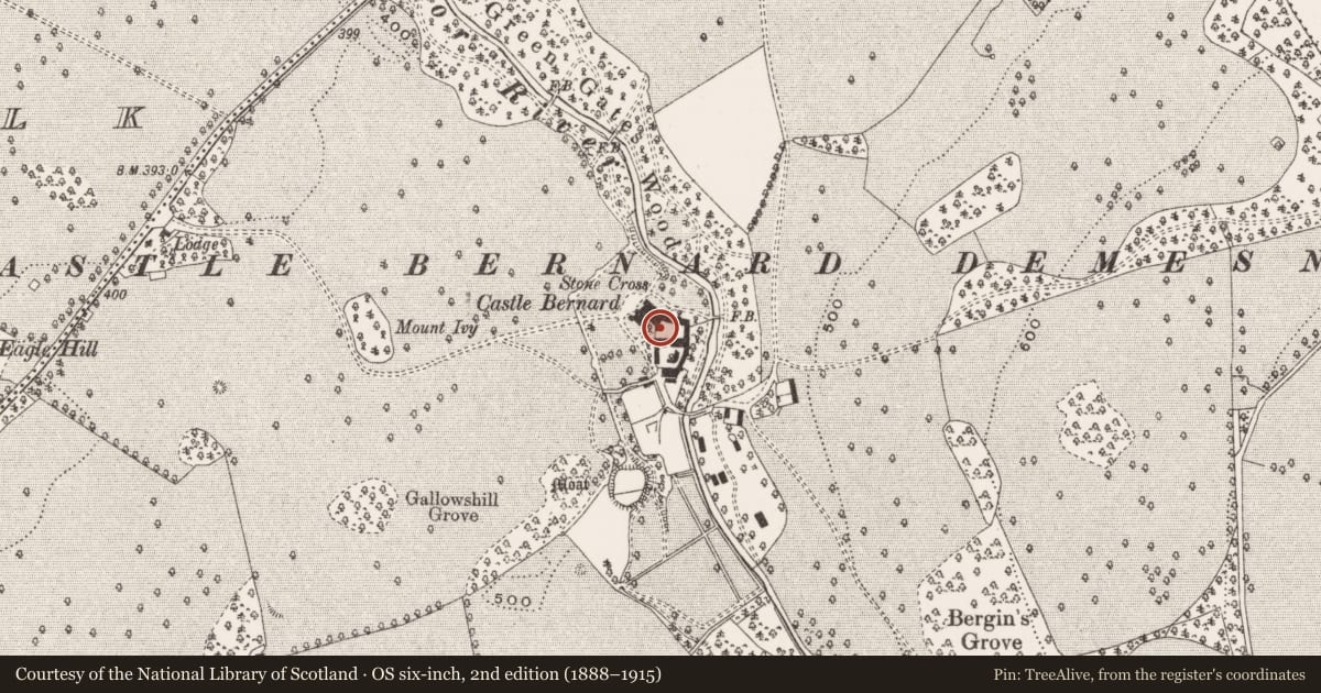 Ordnance Survey six-inch map, 2nd edition (1888–1915) covering the location of Architectural feature, Castletown And Glinsk, County Offaly, with a pin at the register's coordinates