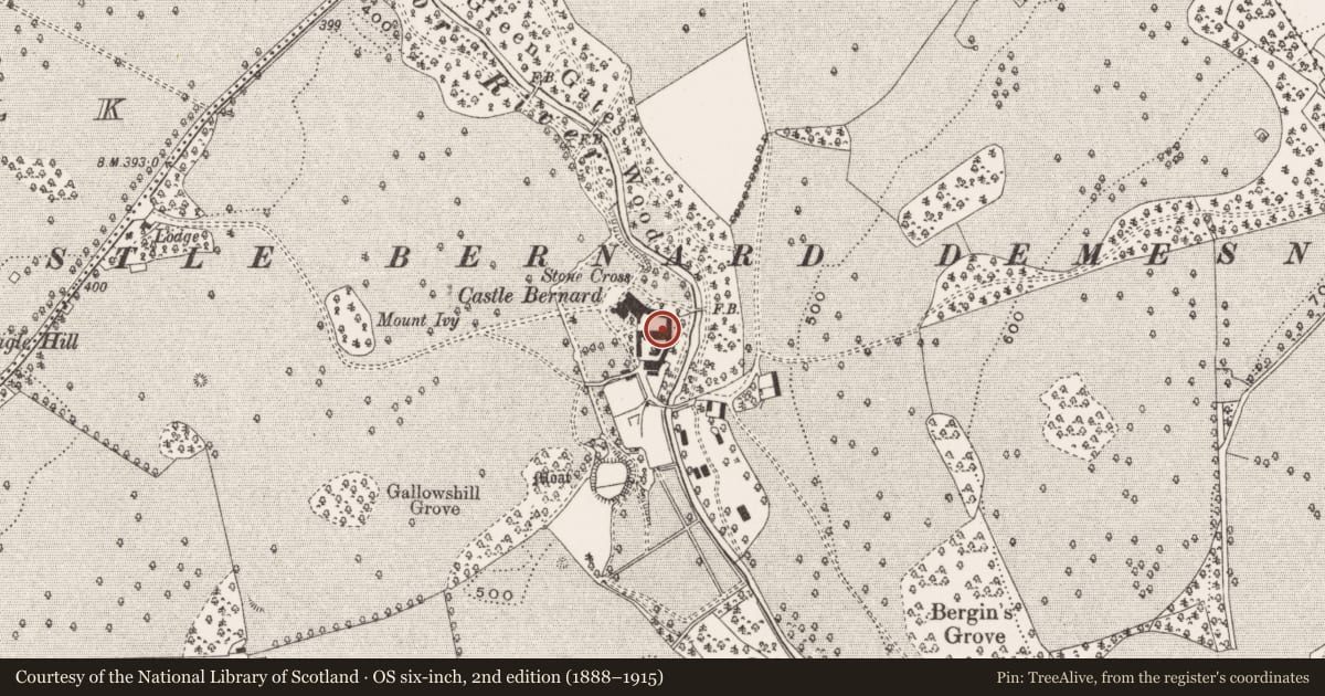 Ordnance Survey six-inch map, 2nd edition (1888–1915) covering the location of Burial, Castletown And Glinsk, County Offaly, with a pin at the register's coordinates