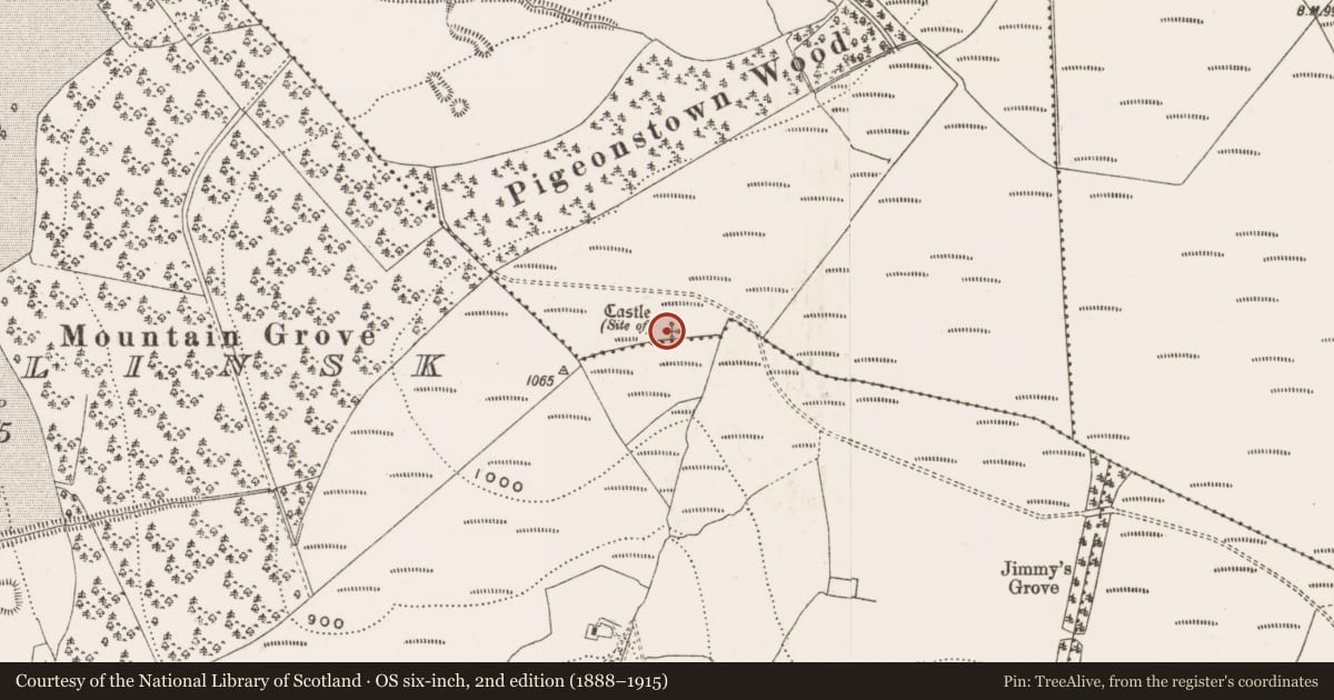Ordnance Survey six-inch map, 2nd edition (1888–1915) covering the location of Castle - unclassified, Castletown And Glinsk, Pigeonstown, County Offaly, with a pin at the register's coordinates