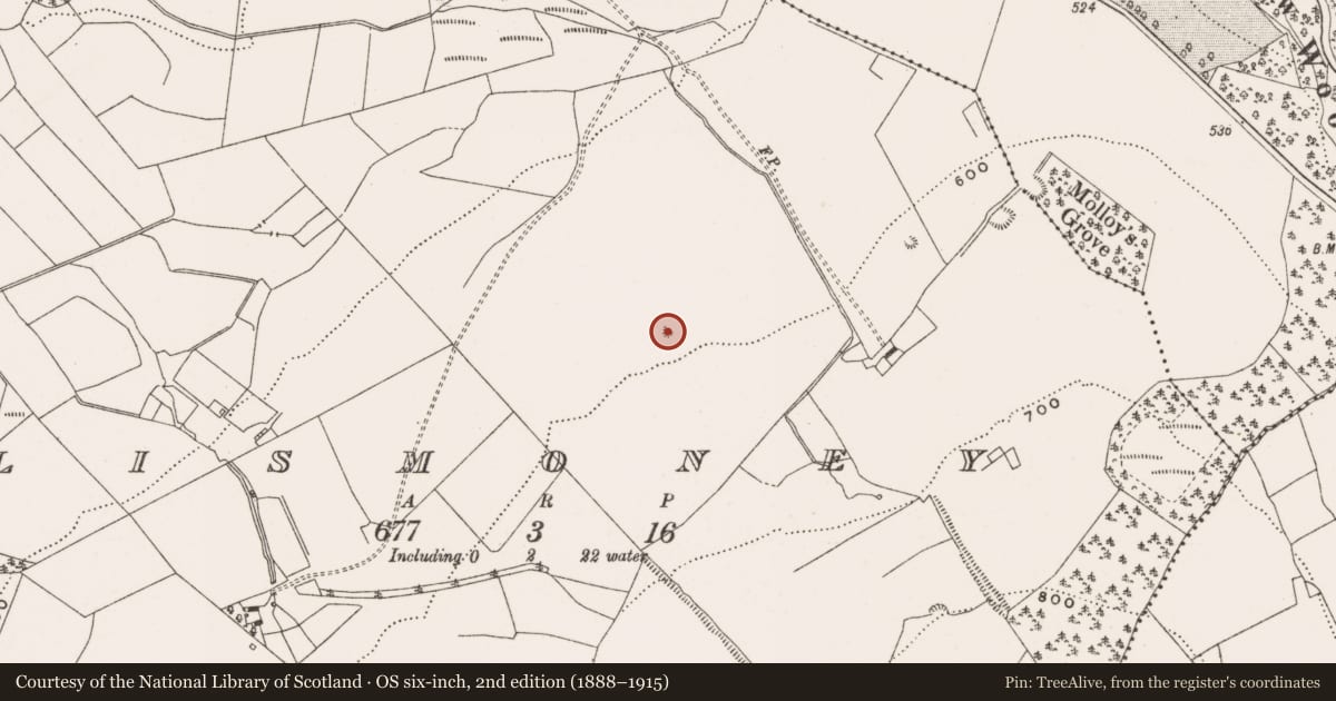 Ordnance Survey six-inch map, 2nd edition (1888–1915) covering the location of Enclosure, Lismoney, County Offaly, with a pin at the register's coordinates
