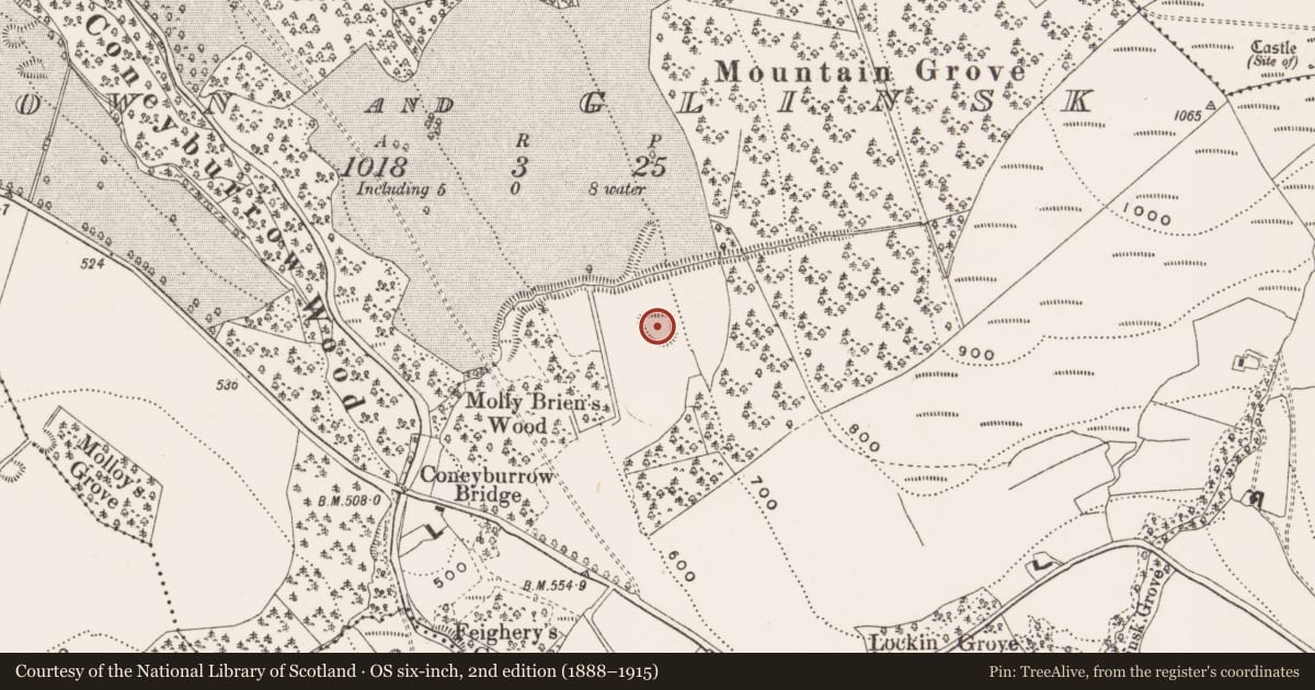 Ordnance Survey six-inch map, 2nd edition (1888–1915) covering the location of Enclosure, Castletown And Glinsk, County Offaly, with a pin at the register's coordinates