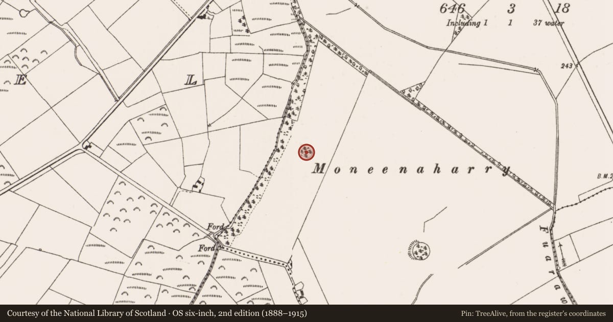 Ordnance Survey six-inch map, 2nd edition (1888–1915) covering the location of Designed landscape - tree-ring, Kilmaine, County Offaly, with a pin at the register's coordinates