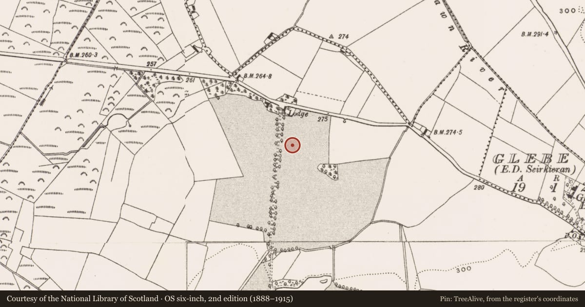Ordnance Survey six-inch map, 2nd edition (1888–1915) covering the location of Fulacht fia, Oakleypark, County Offaly, with a pin at the register's coordinates