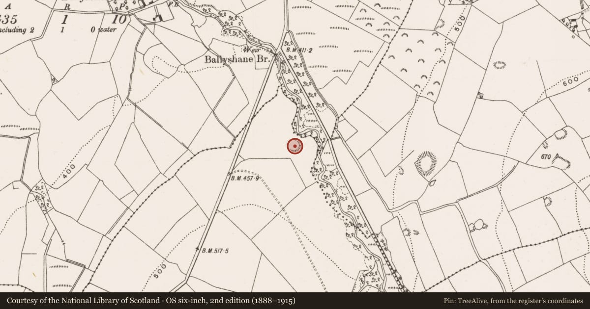 Ordnance Survey six-inch map, 2nd edition (1888–1915) covering the location of Ringfort - rath, Cumber Lower, County Offaly, with a pin at the register's coordinates