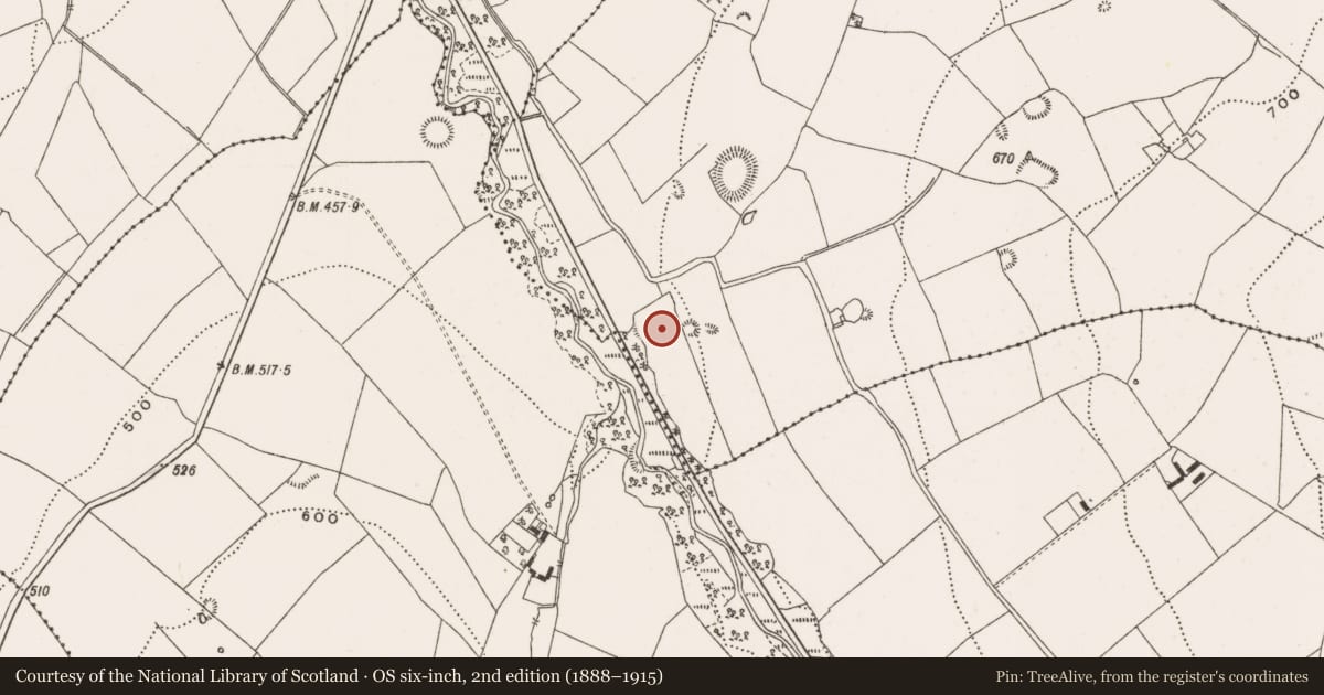 Ordnance Survey six-inch map, 2nd edition (1888–1915) covering the location of Mass-rock, Lismoney, County Offaly, with a pin at the register's coordinates