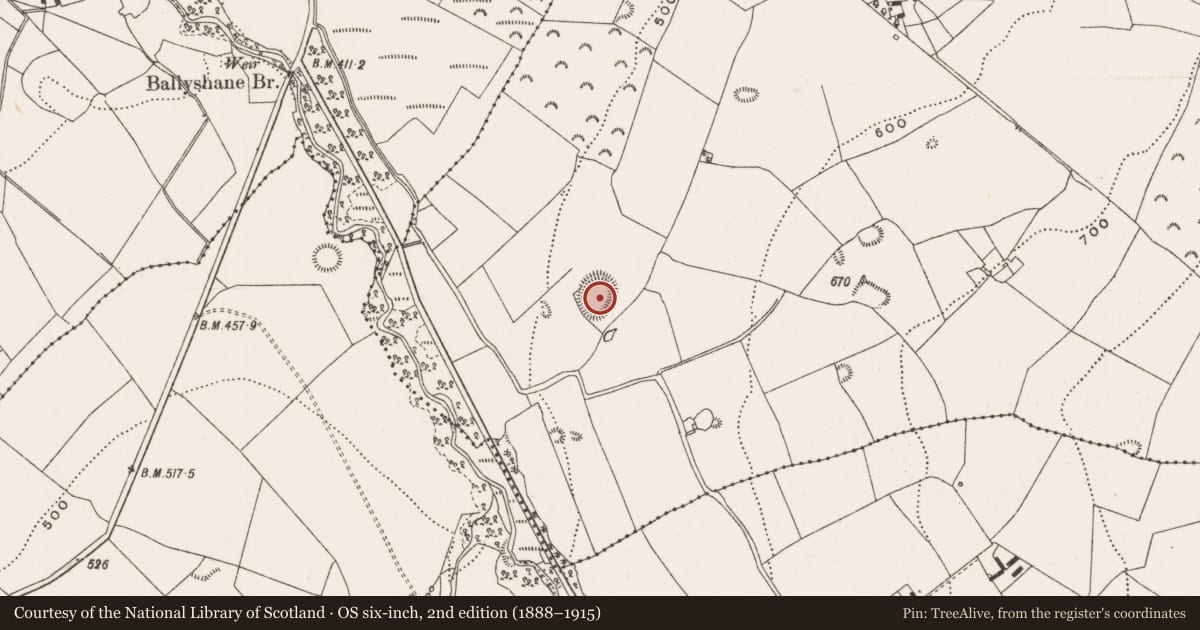 Ordnance Survey six-inch map, 2nd edition (1888–1915) covering the location of Ringfort - rath, Lismoney, County Offaly, with a pin at the register's coordinates