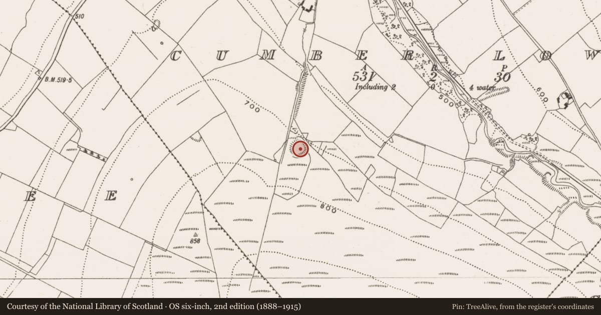 Ordnance Survey six-inch map, 2nd edition (1888–1915) covering the location of Enclosure, Cumber Lower, County Offaly, with a pin at the register's coordinates