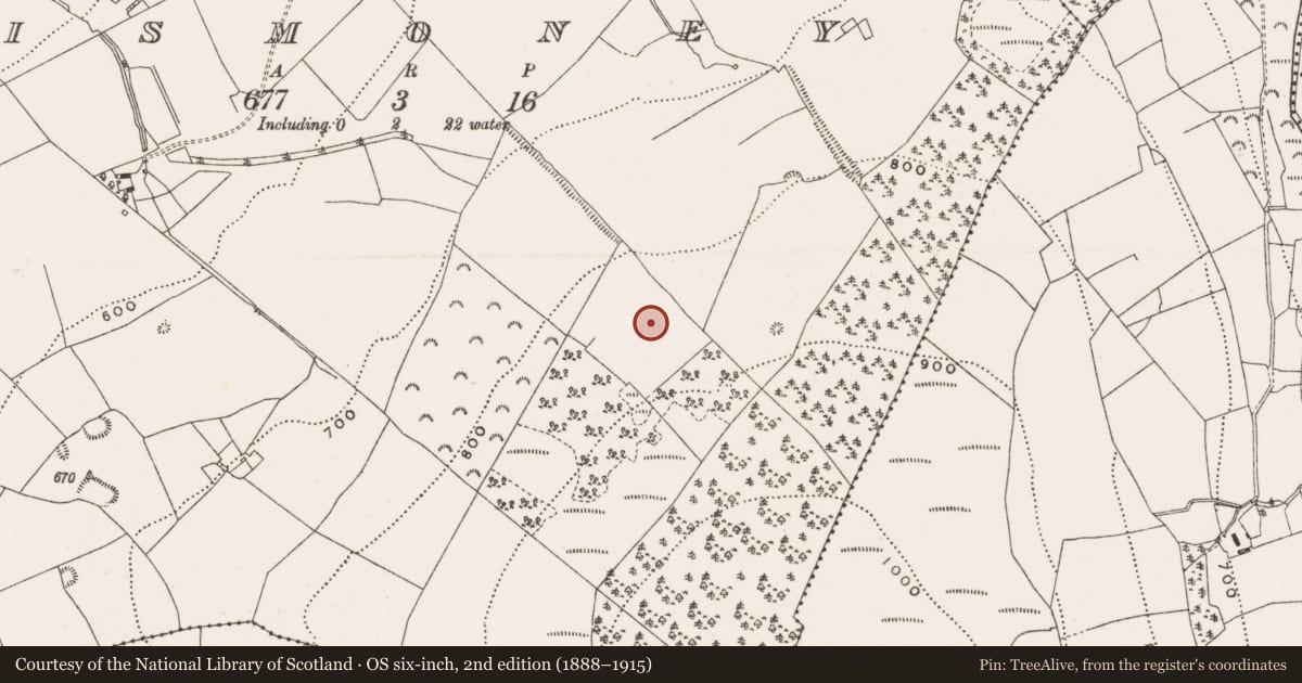 Ordnance Survey six-inch map, 2nd edition (1888–1915) covering the location of Enclosure, Lismoney, County Offaly, with a pin at the register's coordinates