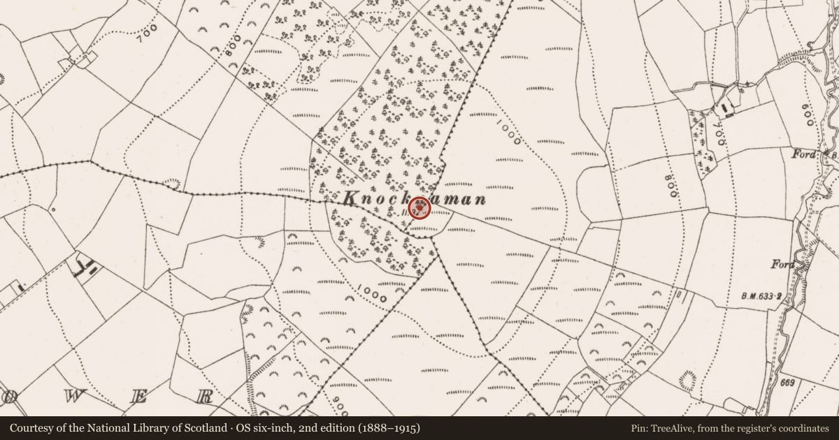 Ordnance Survey six-inch map, 2nd edition (1888–1915) covering the location of Hilltop enclosure, County Offaly, with a pin at the register's coordinates