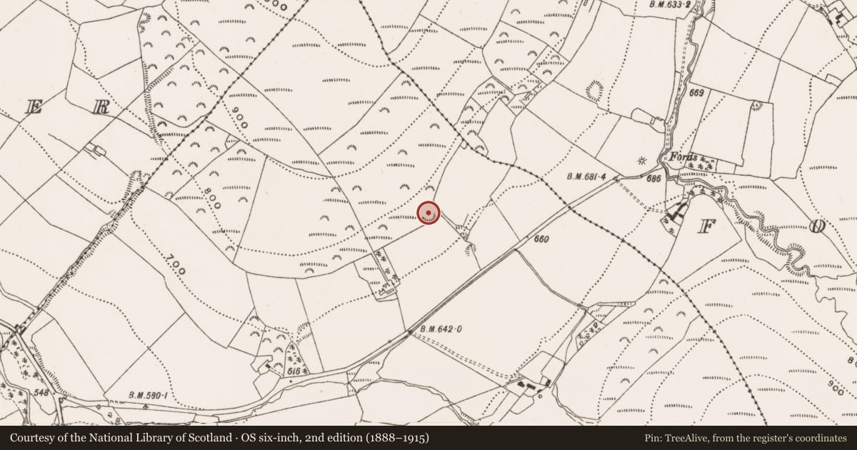 Ordnance Survey six-inch map, 2nd edition (1888–1915) covering the location of Enclosure, Cumber Upper, County Offaly, with a pin at the register's coordinates