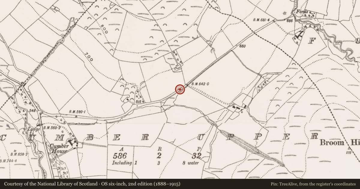 Ordnance Survey six-inch map, 2nd edition (1888–1915) covering the location of Bullaun stone, Cumber Upper, County Offaly, with a pin at the register's coordinates