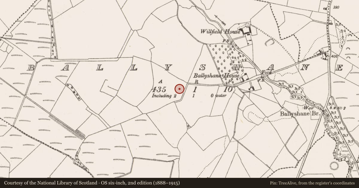 Ordnance Survey six-inch map, 2nd edition (1888–1915) covering the location of Enclosure, Ballyshane, County Offaly, with a pin at the register's coordinates