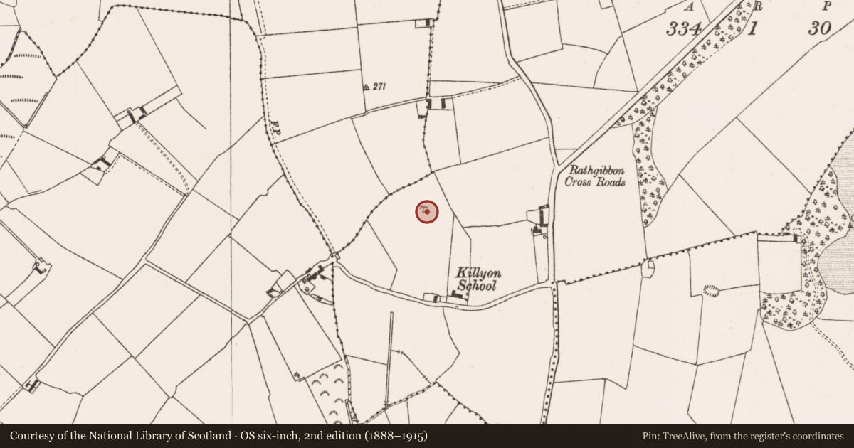 Ordnance Survey six-inch map, 2nd edition (1888–1915) covering the location of Barrow - ring-barrow, Rathgibbon South, County Offaly, with a pin at the register's coordinates