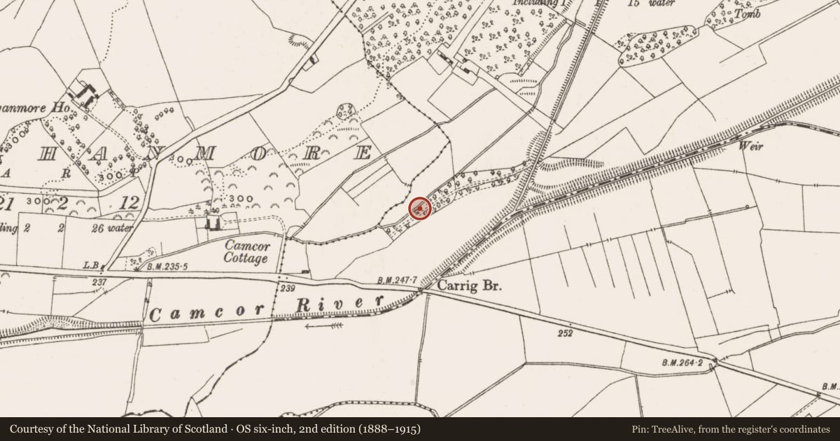 Ordnance Survey six-inch map, 2nd edition (1888–1915) covering the location of Mound, Droughtville, County Offaly, with a pin at the register's coordinates
