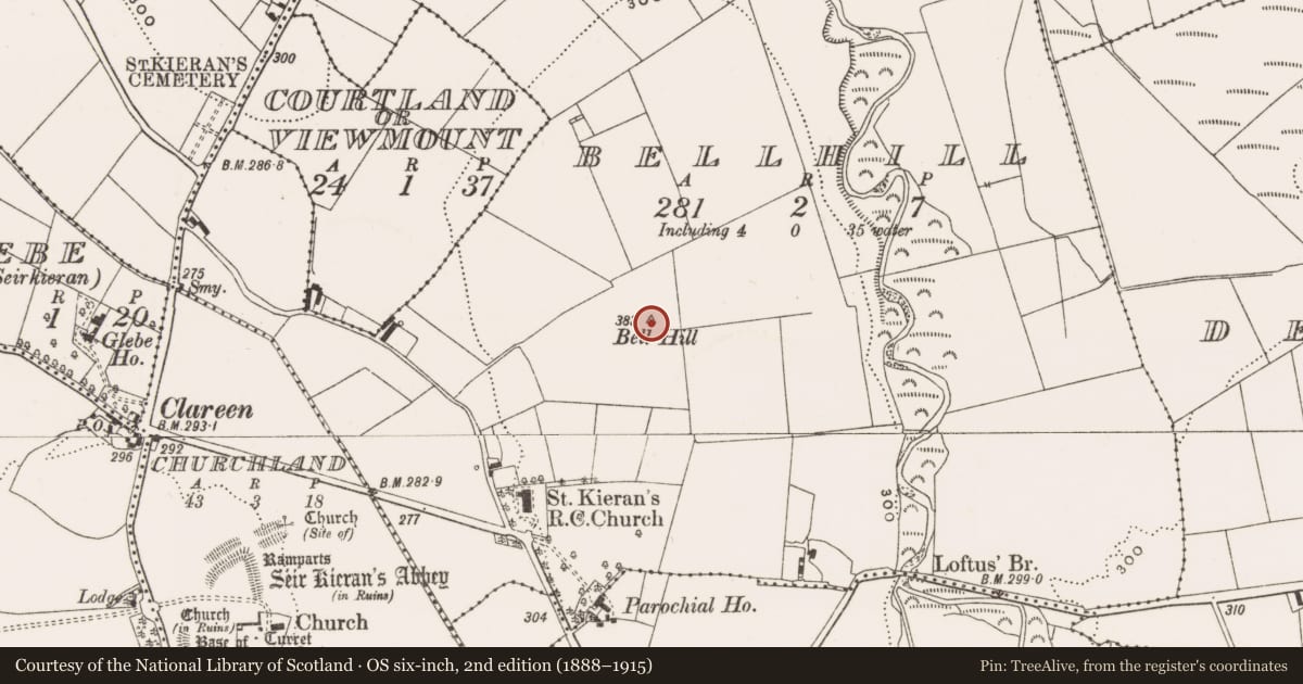 Ordnance Survey six-inch map, 2nd edition (1888–1915) covering the location of Ritual site - holy tree/bush, Bellhill, County Offaly, with a pin at the register's coordinates