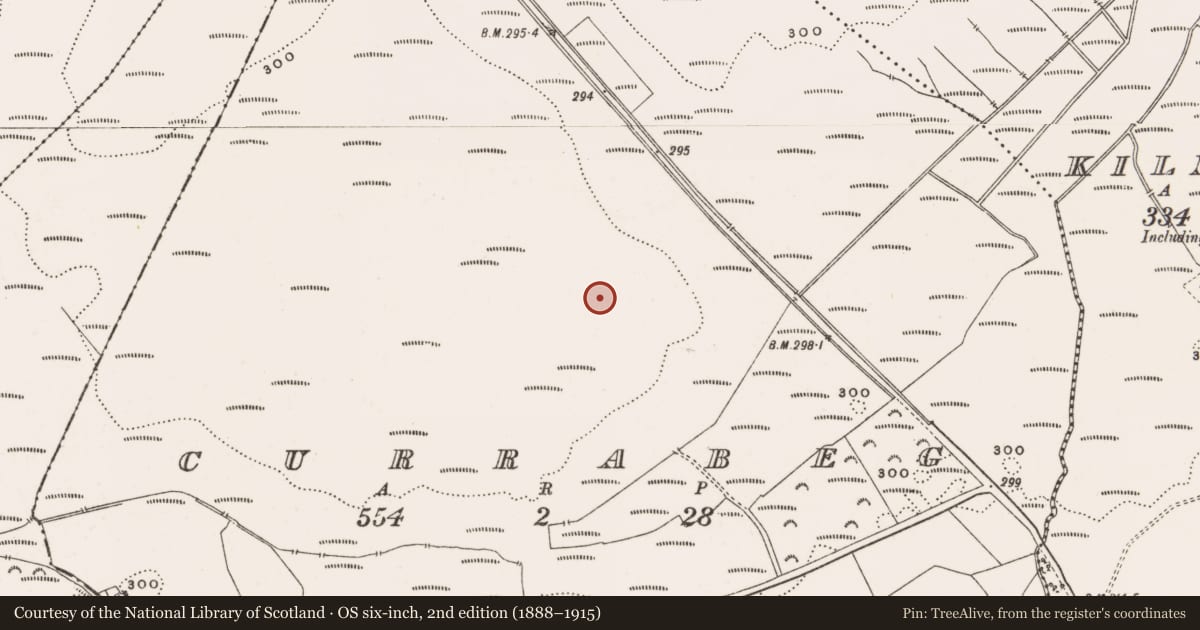 Ordnance Survey six-inch map, 2nd edition (1888–1915) covering the location of Structure - peatland, Currabeg, County Offaly, with a pin at the register's coordinates