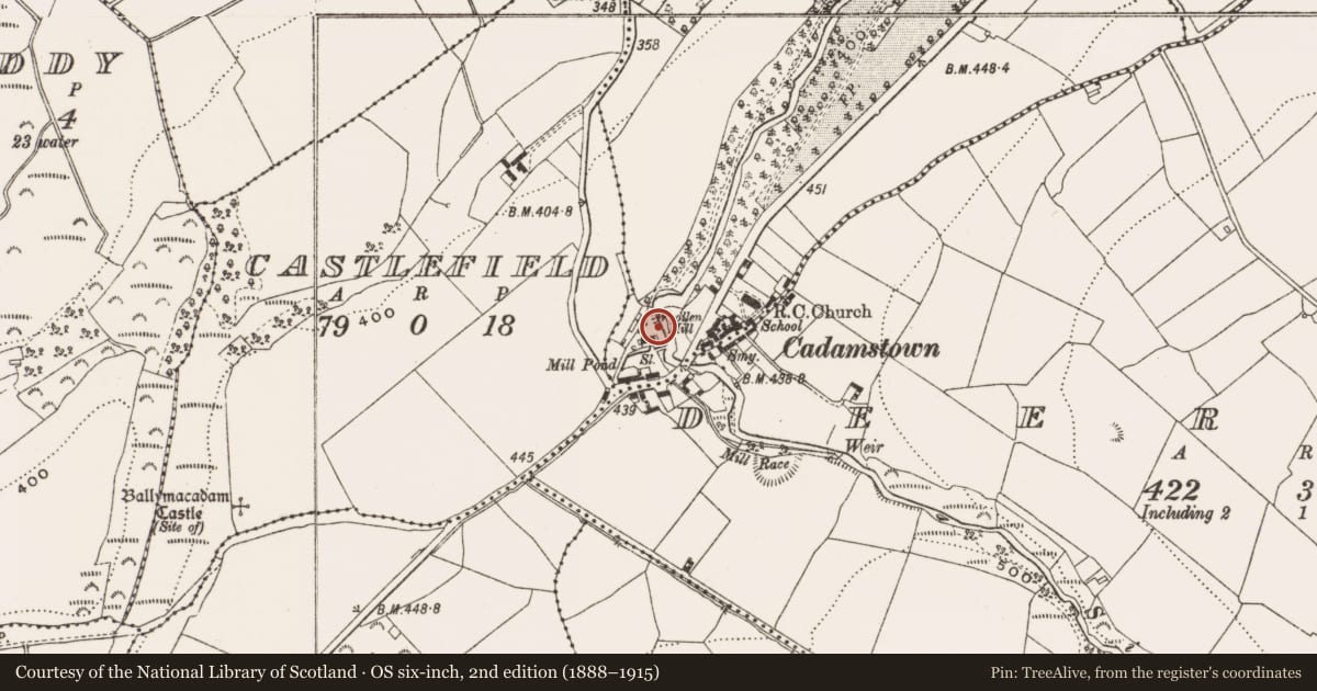 Ordnance Survey six-inch map, 2nd edition (1888–1915) covering the location of Millstone quarry, Cadamstown, County Offaly, with a pin at the register's coordinates