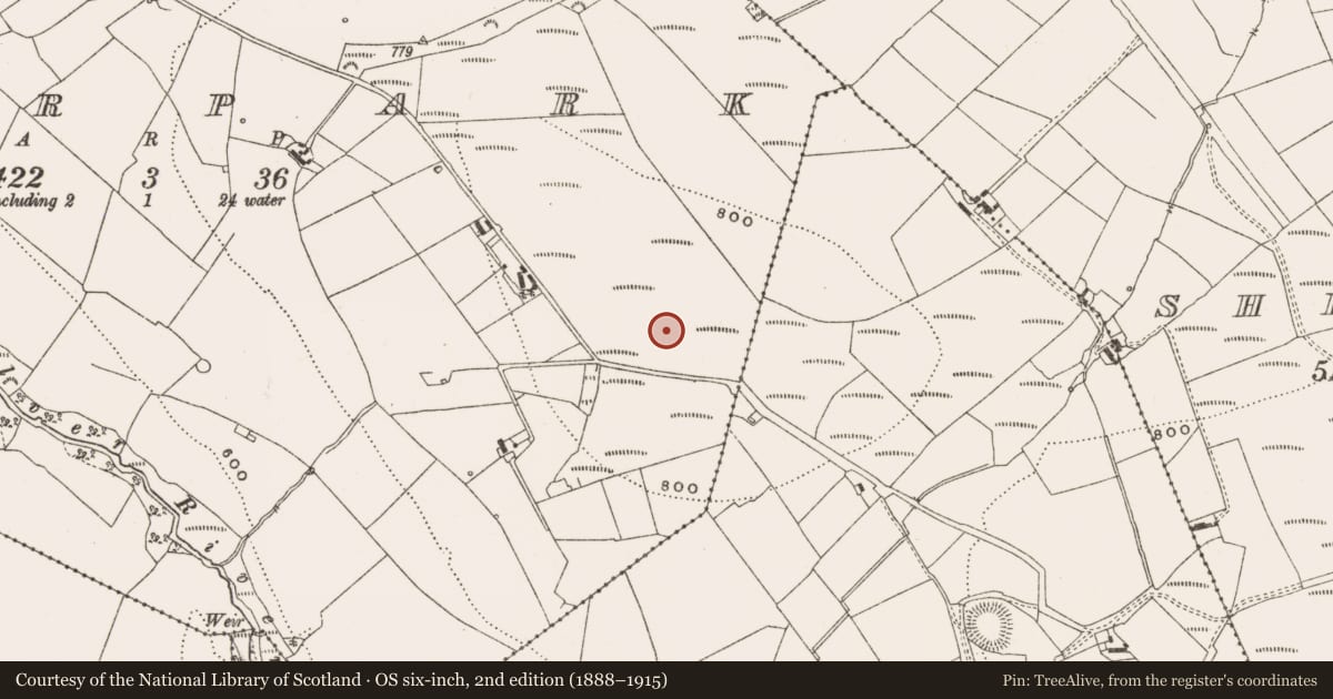 Ordnance Survey six-inch map, 2nd edition (1888–1915) covering the location of Enclosure, Deerpark, County Offaly, with a pin at the register's coordinates