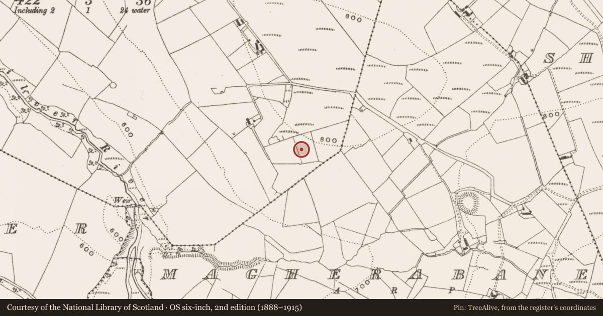 Ordnance Survey six-inch map, 2nd edition (1888–1915) covering the location of Enclosure, Deerpark, County Offaly, with a pin at the register's coordinates