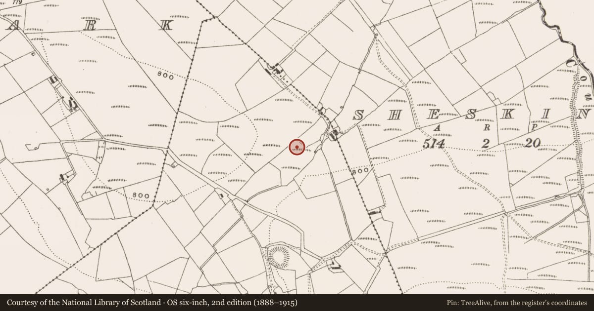 Ordnance Survey six-inch map, 2nd edition (1888–1915) covering the location of Enclosure, Magherabane, County Offaly, with a pin at the register's coordinates